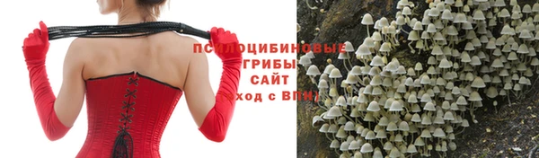 spice Елабуга