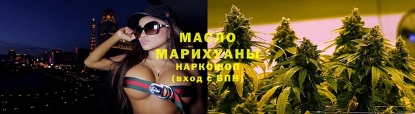 дмт Ельня