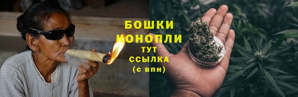 дмт Ельня