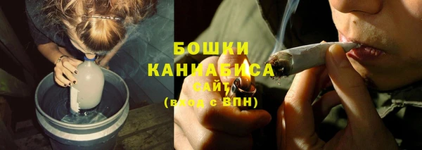 spice Елабуга