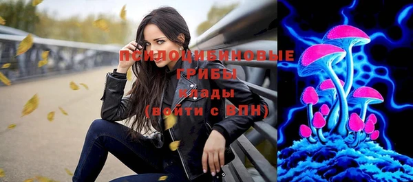 spice Елабуга