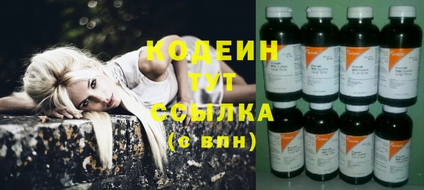 дмт Ельня