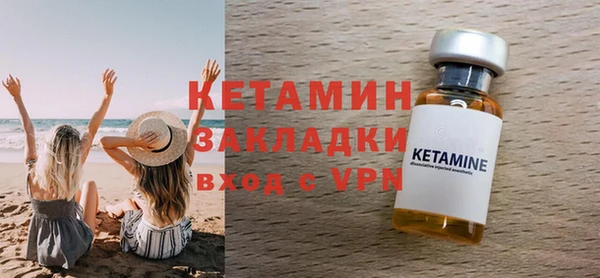 дмт Ельня