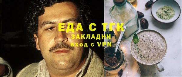 дмт Ельня