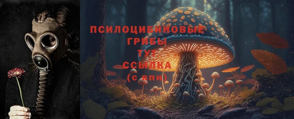 a pvp Елизово