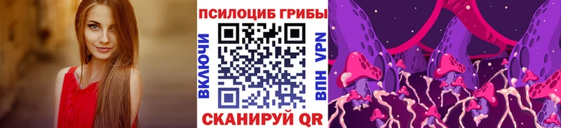 Купить закладки  Краснознаменск  Псилоцибиновые грибы Magic Shrooms 